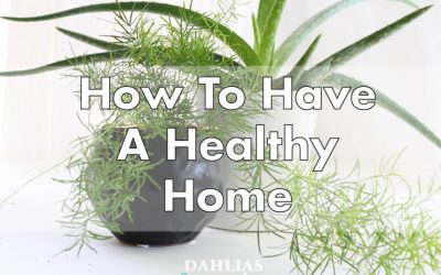 How To Have A Healthy Home