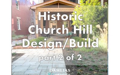 Historic Church Hill Richmond Build – Part 2